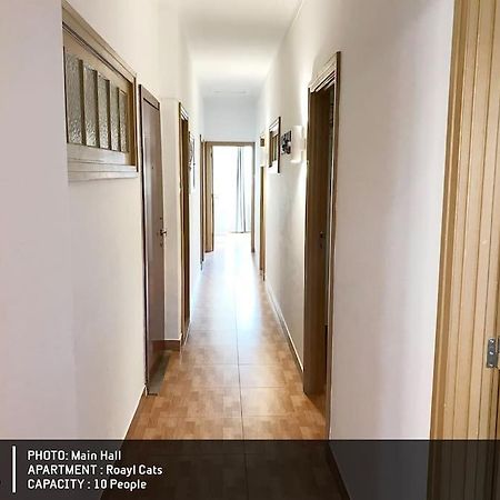 Royal Cats Apartment Porto Dış mekan fotoğraf