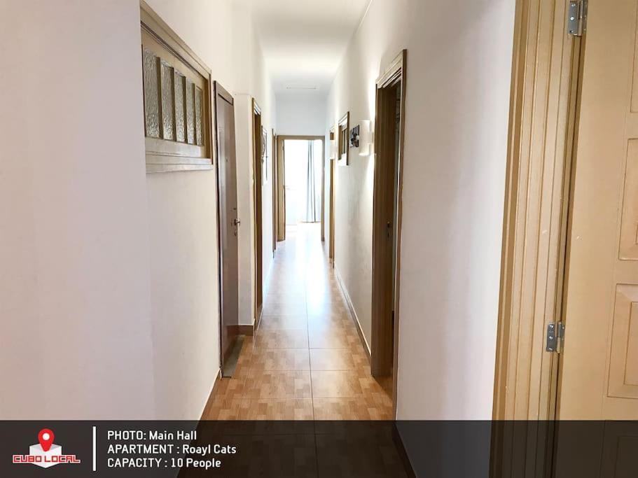 Royal Cats Apartment Porto Dış mekan fotoğraf
