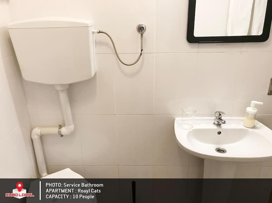 Royal Cats Apartment Porto Dış mekan fotoğraf