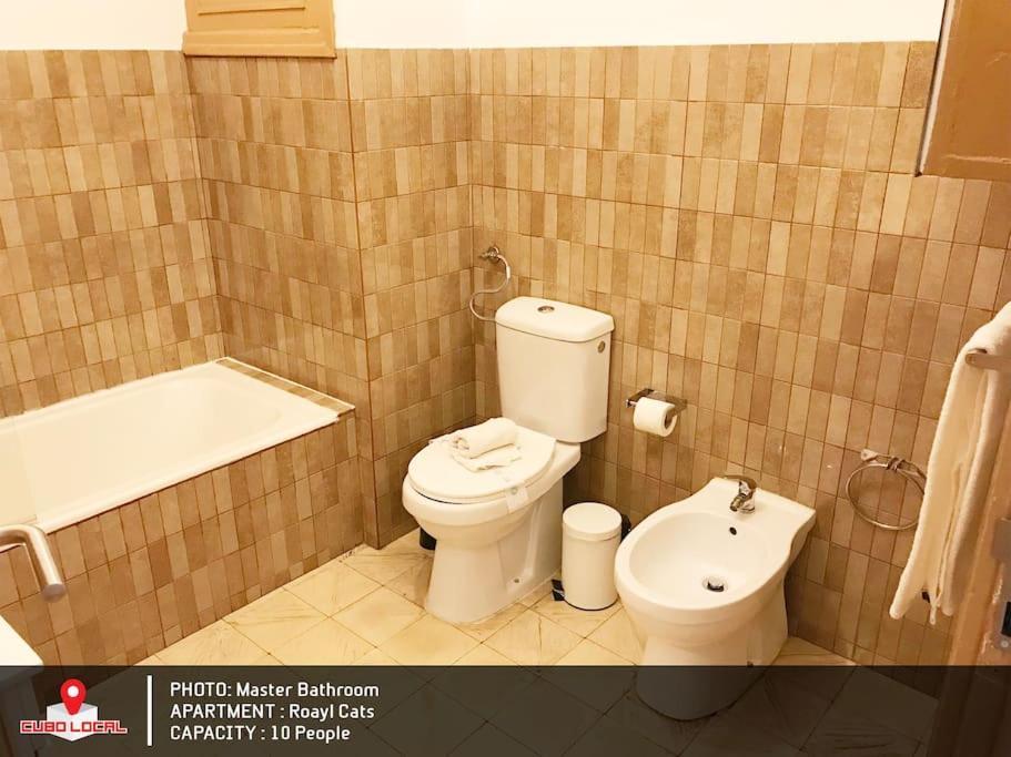 Royal Cats Apartment Porto Dış mekan fotoğraf